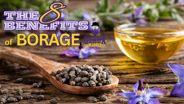 The 8 Benefits of Borage Oil